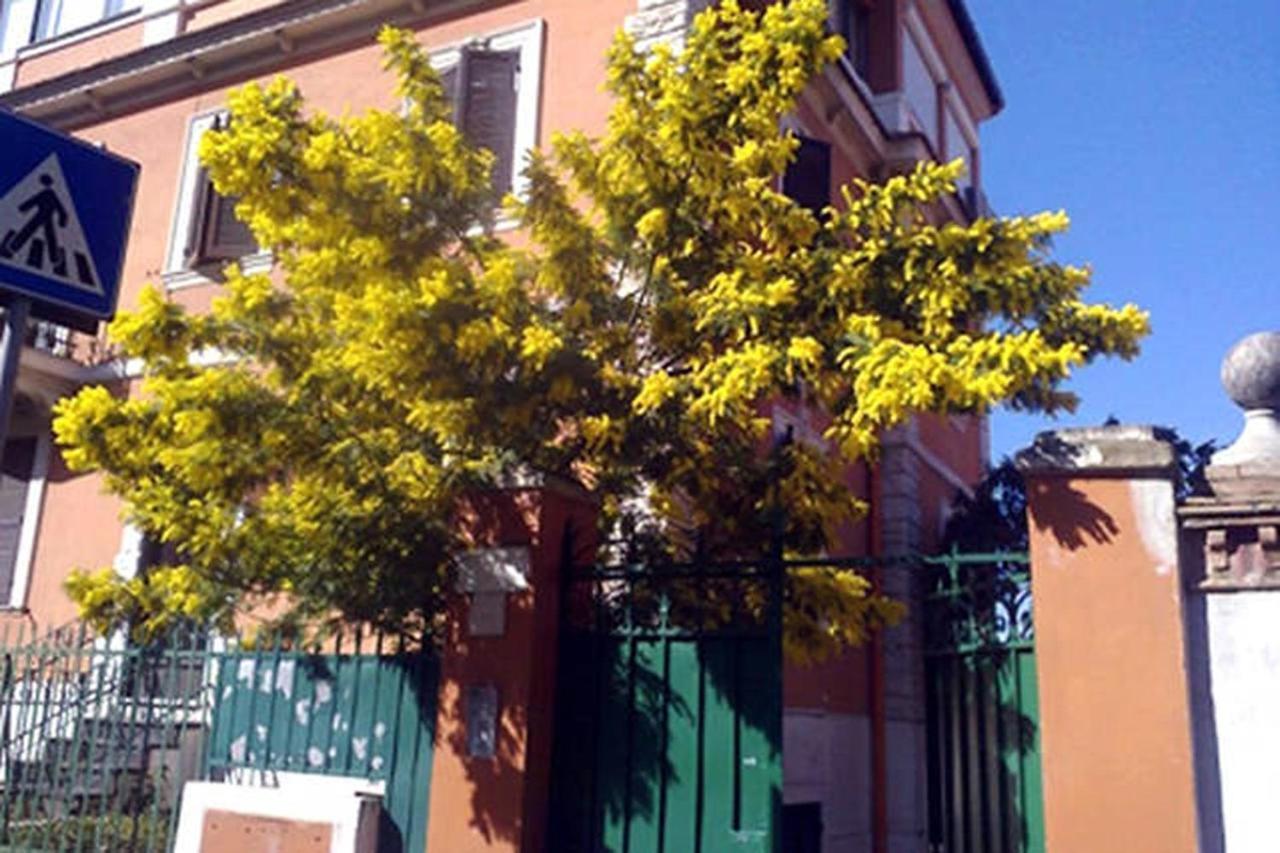 Garden Flat By Vatican Walls Рим Экстерьер фото